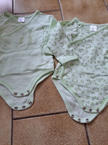 Bodys 6 mois