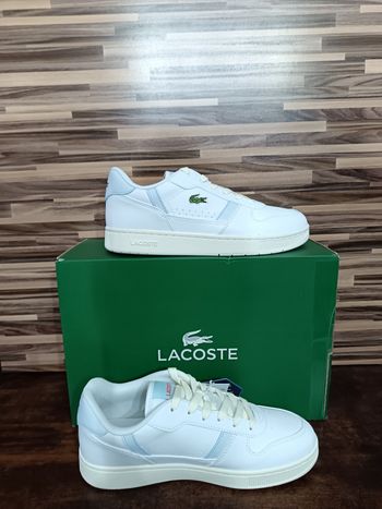 Basket Lacoste