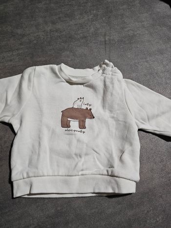 Pull bebe