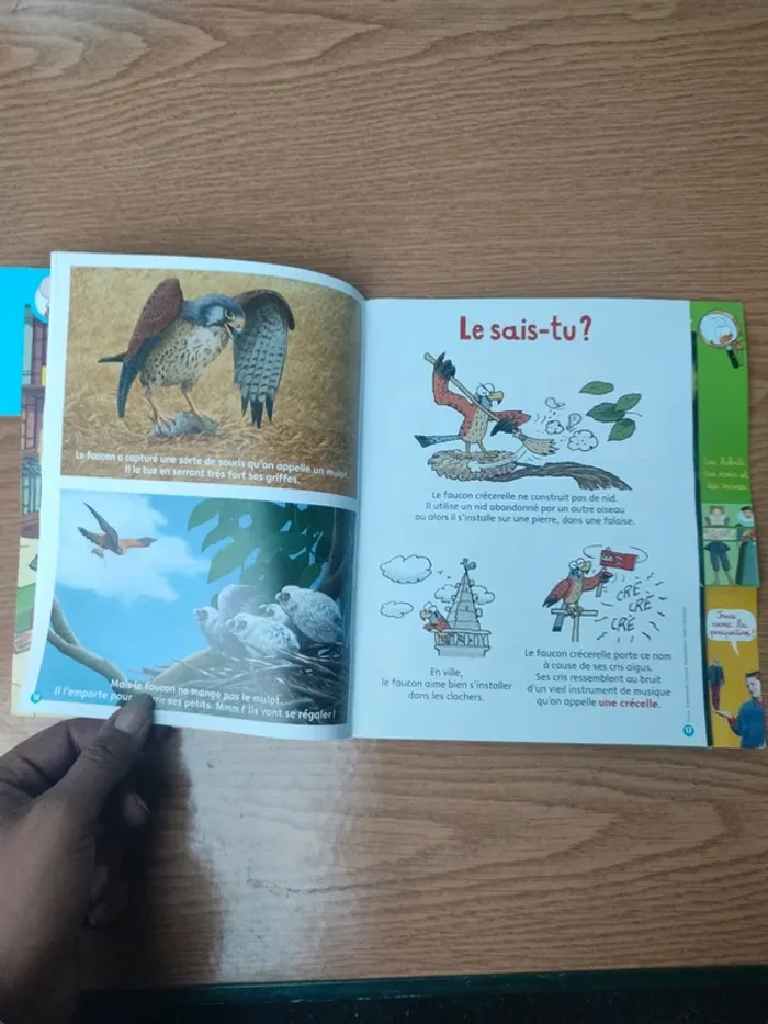 Livre youpi François 1er - photo numéro 13