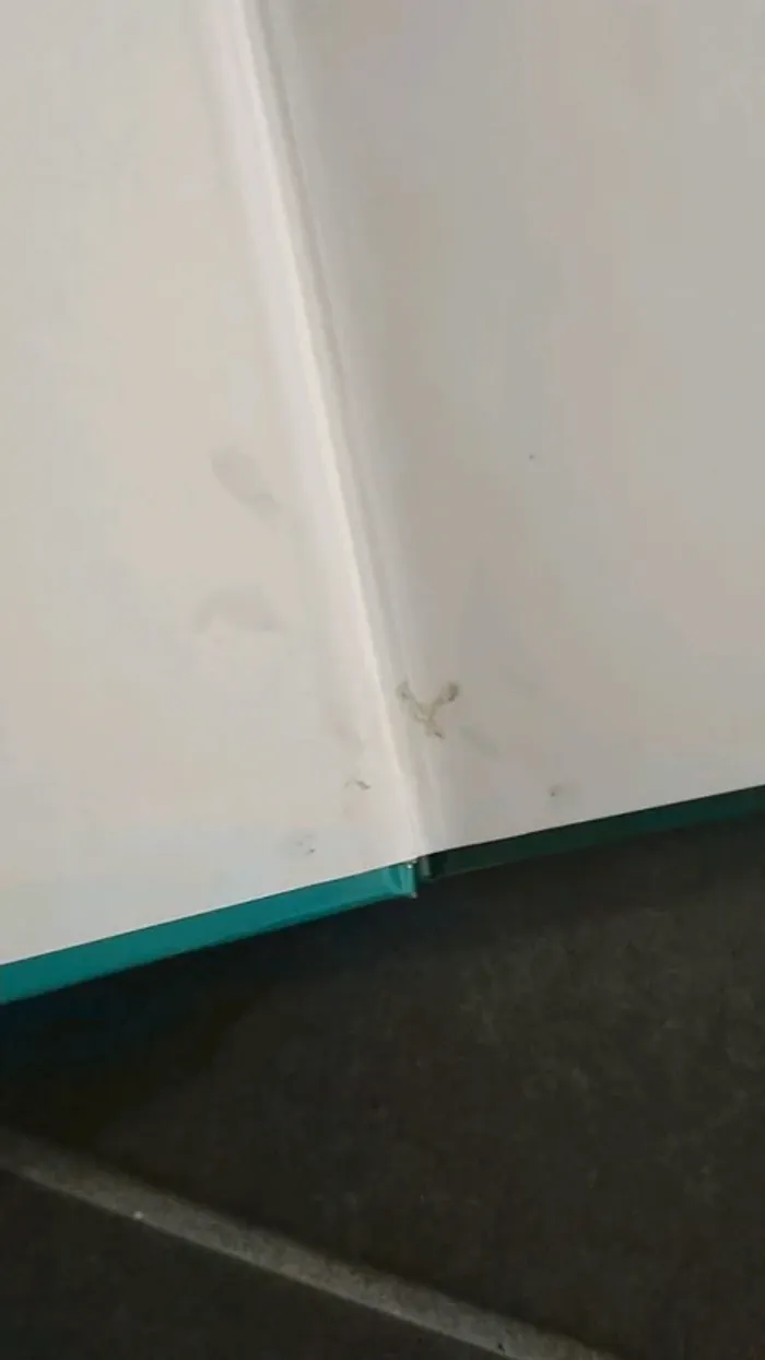 Lot de livres Disney - photo numéro 8