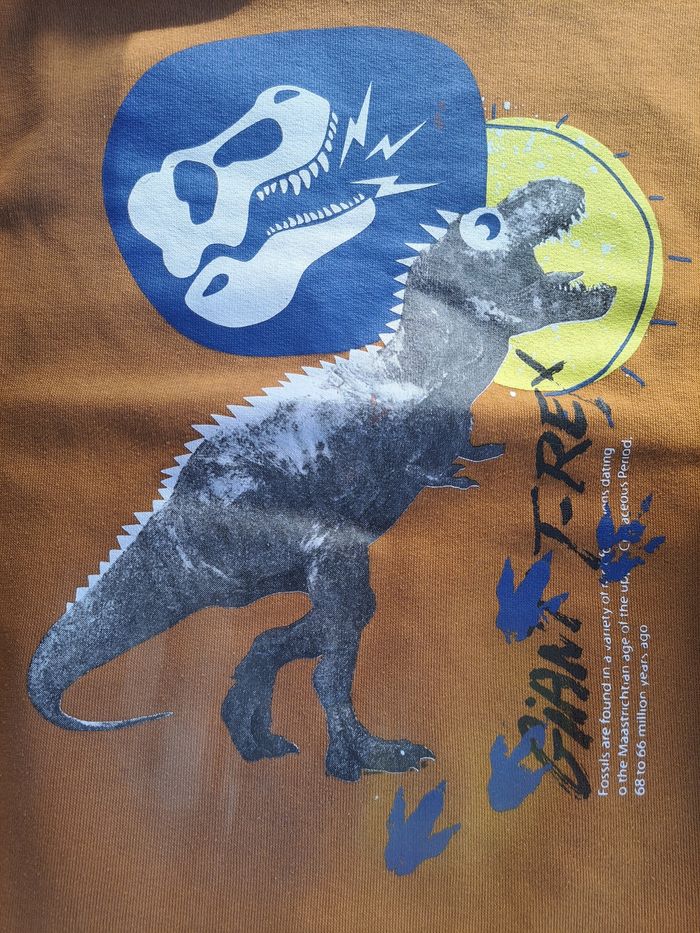 Sweat "T-Rex" - photo numéro 3