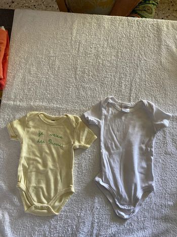 T12mois lot 2 bodys MC