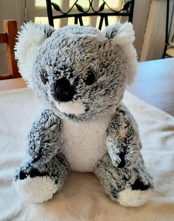 Peluche Koalas 🐨