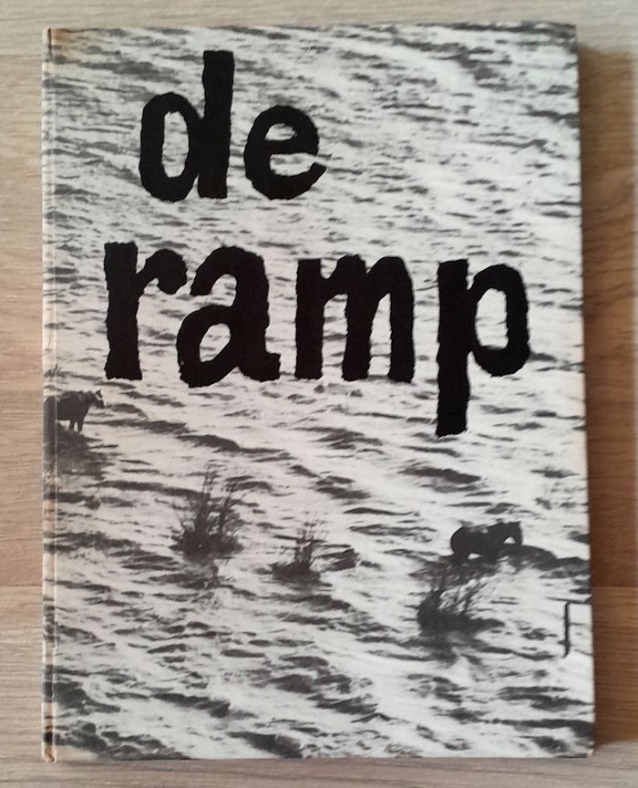de ramp - désastre de la mer - photo numéro 5