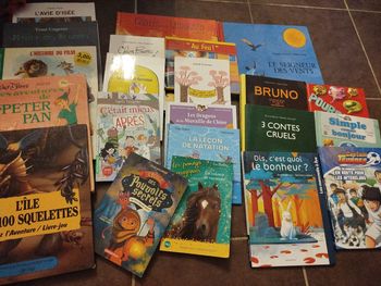 lot de livre enfant
