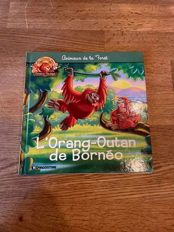 Livre Altaya Le monde des animaux Sauvages Animaux de la forêt L’orang outan de Bornéo