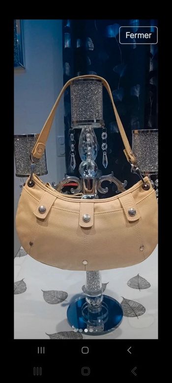 Sac porte épaule longchamp beige 15x29x2 tt est visible sur les photos