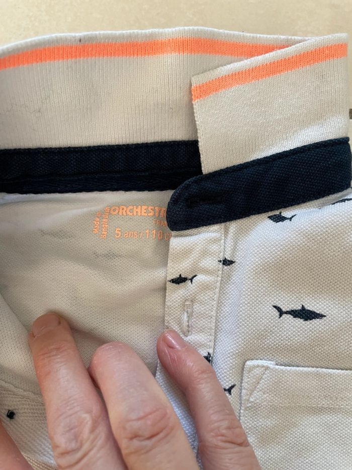 Ensemble bermuda et Polo orchestra T5ans - photo numéro 3