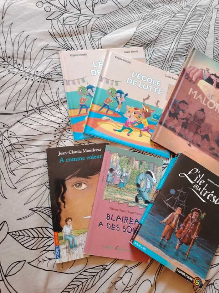 Lot livre divers - photo numéro 2