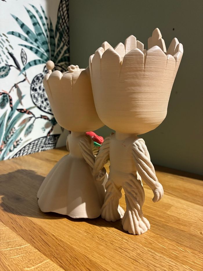 Groot et sa mariée - photo numéro 2