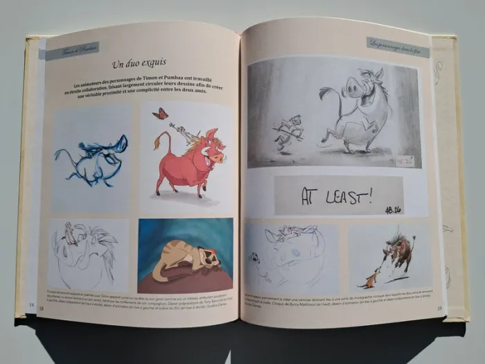 Livre Timon et Pumbaa dans Le Roi Lion de Walt Disney - Tome 31 - photo numéro 2