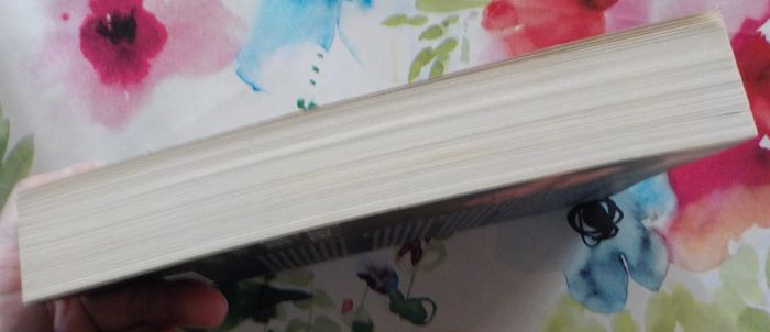 L'Affaire Caravaggio de Daniel Silva Ed. Mosaïc - photo numéro 4