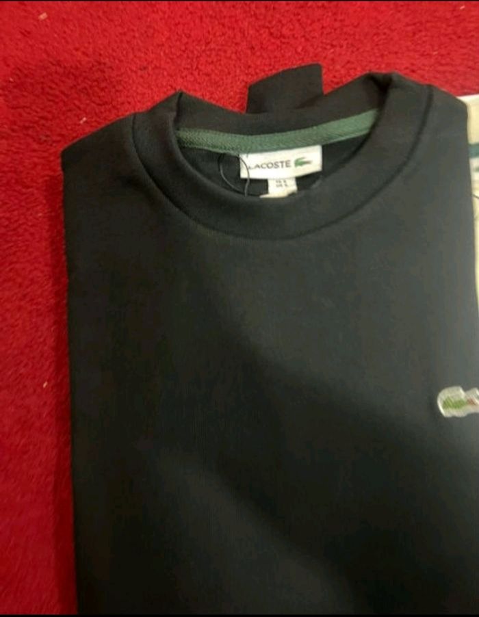 Pull lacoste - photo numéro 5