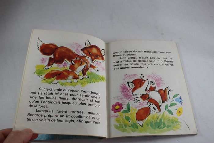 Anciens Livres enfants 70s Malheurs de Sophie, Petit Goupil et Souricette - photo numéro 14