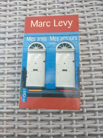 Mes amis Mes amours. Marc Lévy