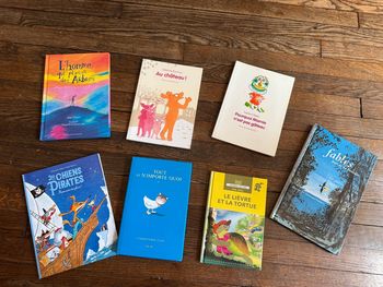Lot livres  6-9 ans