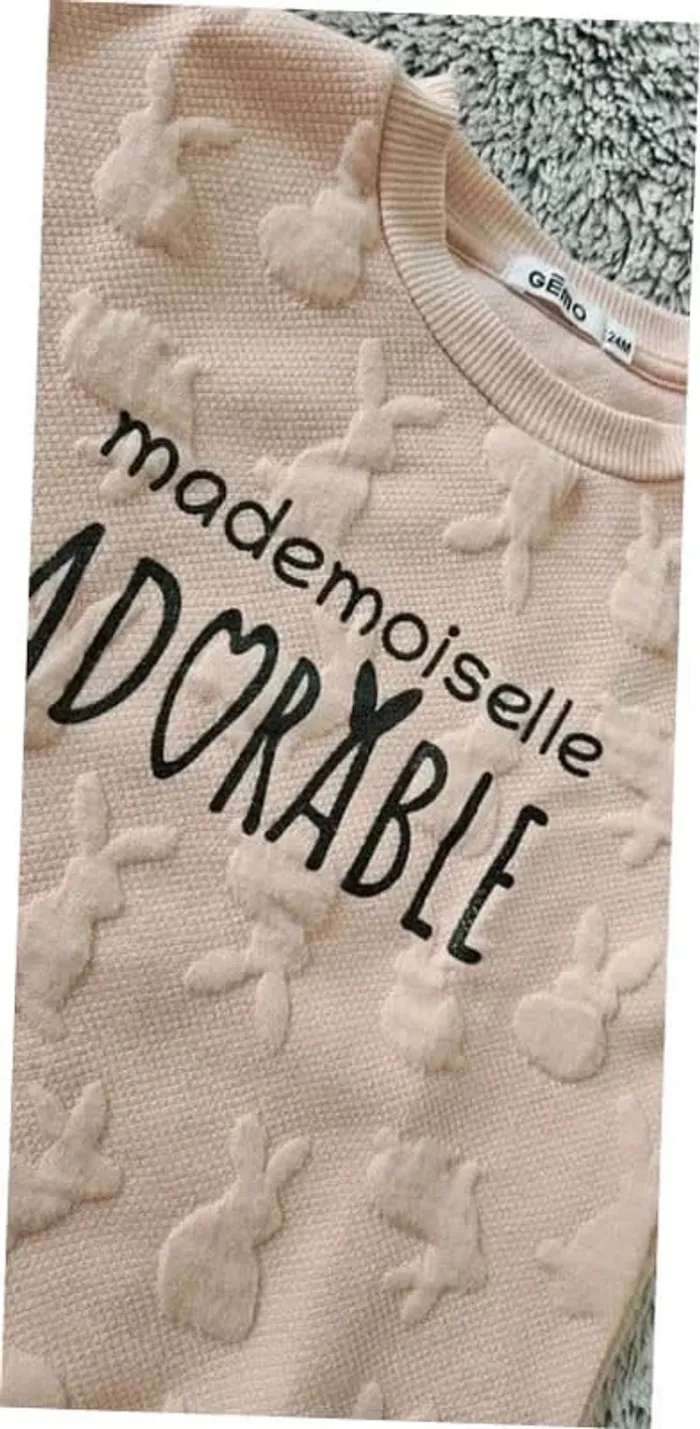 sweat gémo - photo numéro 2