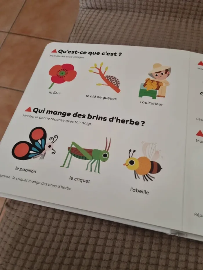 Livre "les petites bêtes " - photo numéro 7