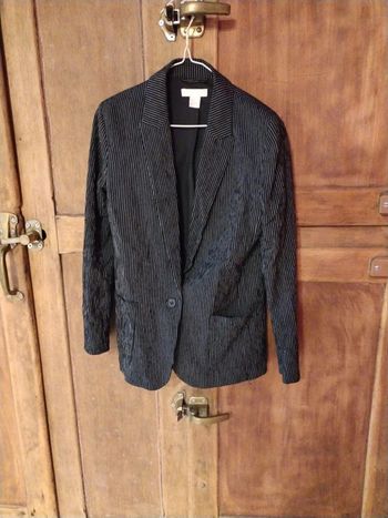 Veste blazer rayée