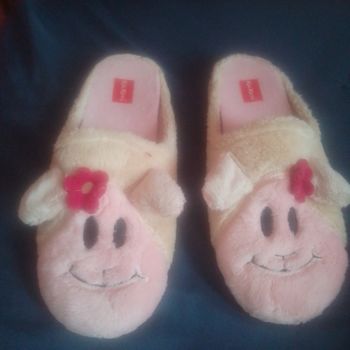 Pantoufles Kickers