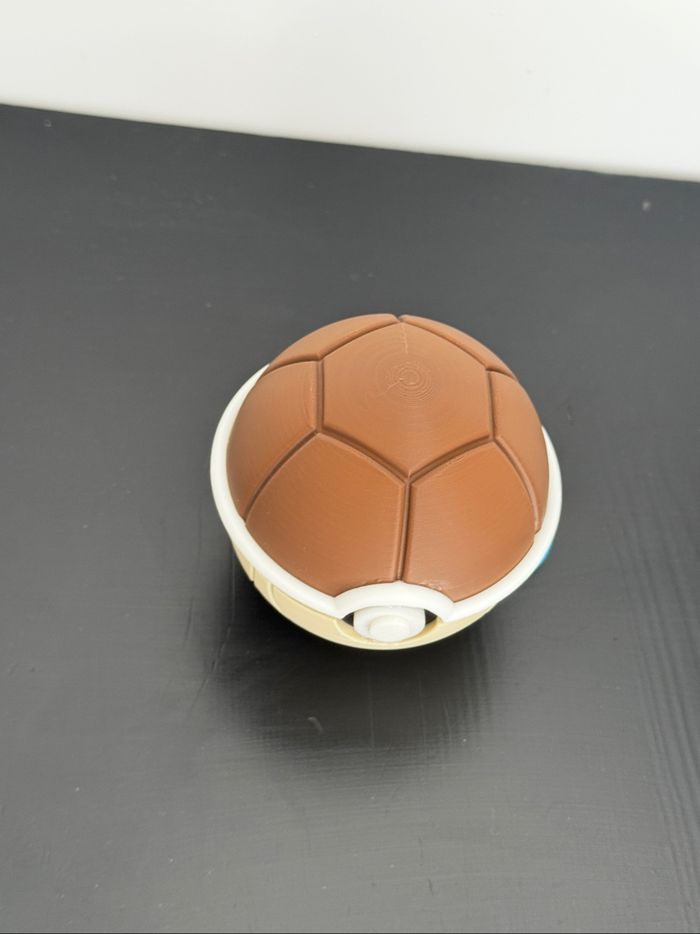Pokeball carapace - photo numéro 5