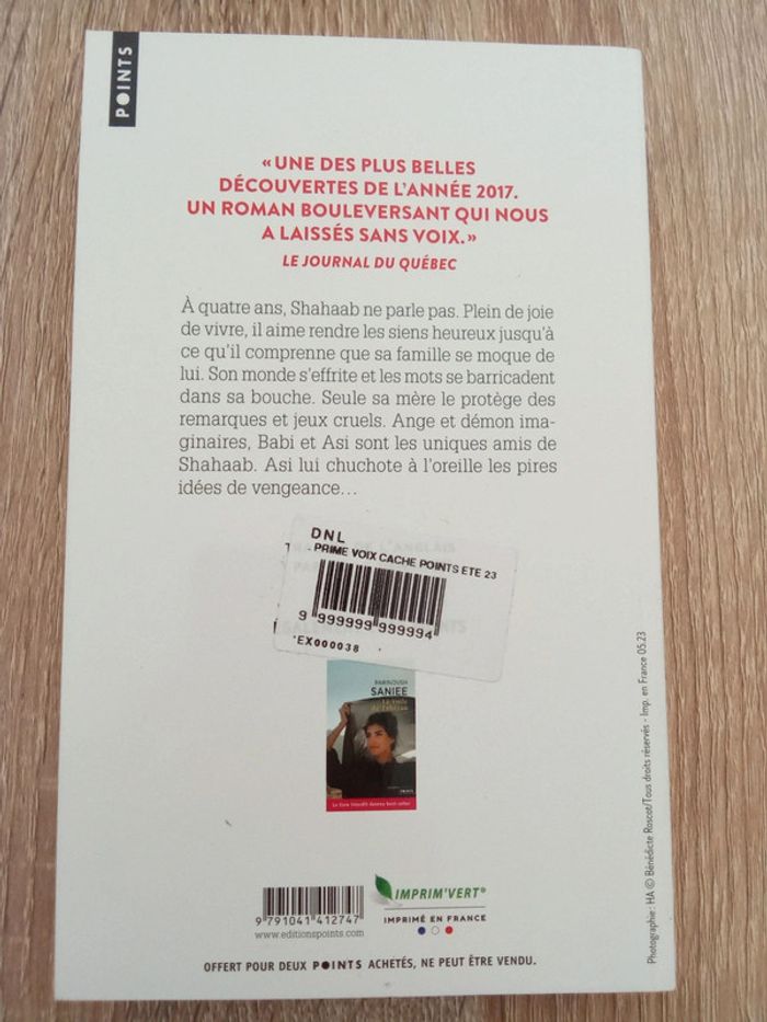 Parinoush Saniee 🪅 La voix cachée - photo numéro 2