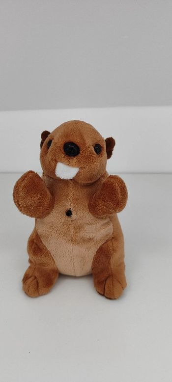 Peluche marmotte