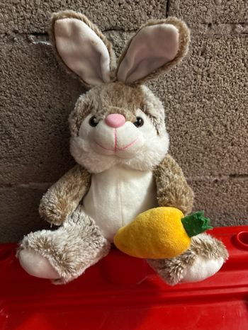 Peluche lapin avec carotte