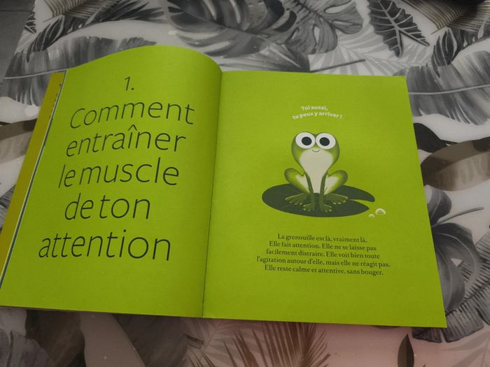 Livre avec CD calme et attentif comme une grenouille - photo numéro 4