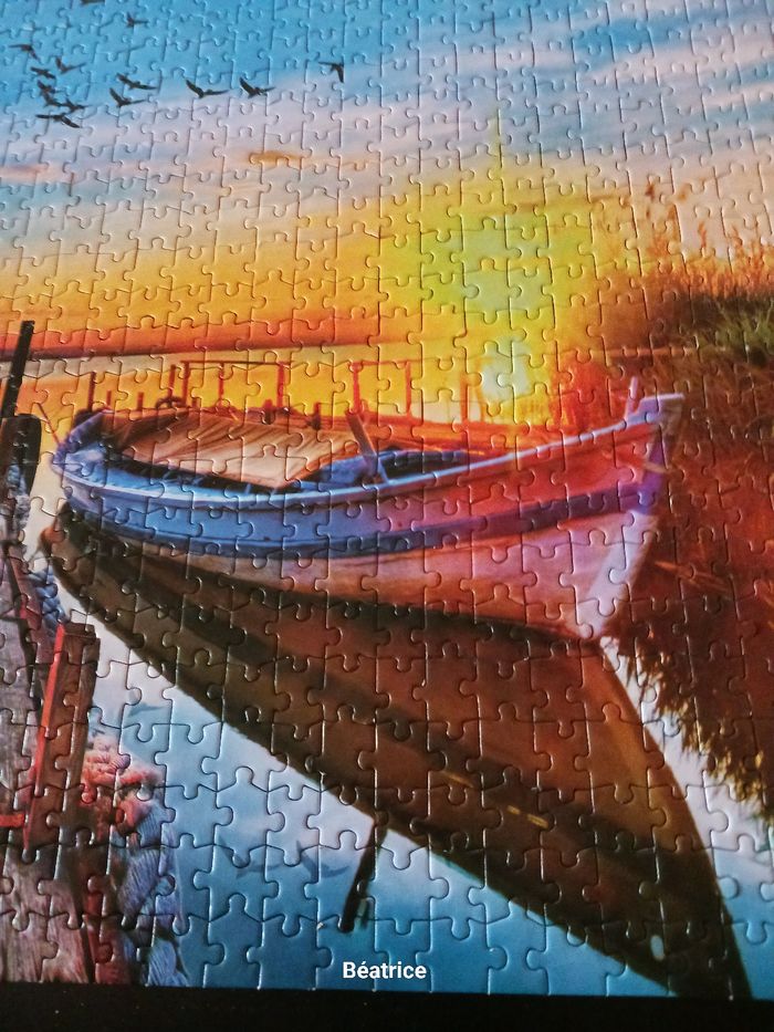 Pulzze 1000 pieces - photo numéro 3