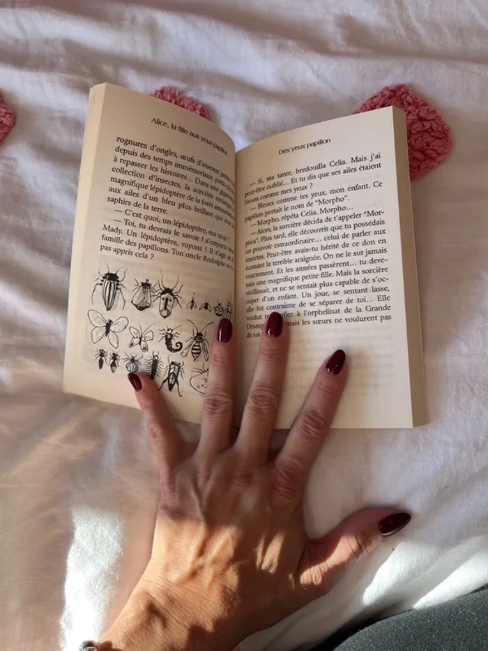 Livre Alice, la fille aux yeux papillon - photo numéro 3