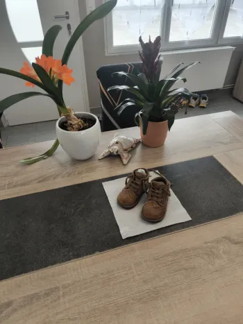 Chaussures montantes garçon 19 Primigi