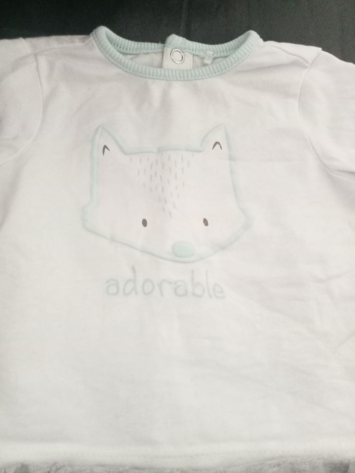 Ensemble - photo numéro 2