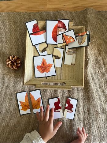Lot cartes quantifier