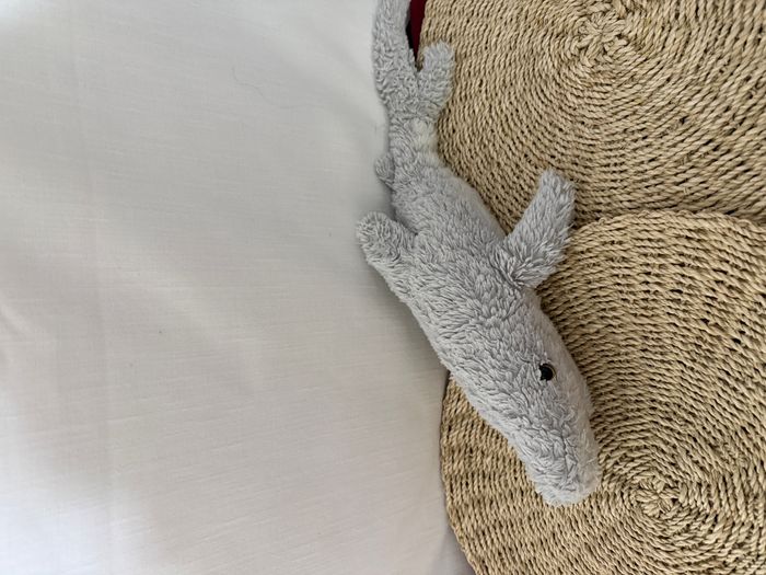 Peluche grand requin blanc - photo numéro 5