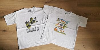 Lot 2 tee shirts guadeloupe