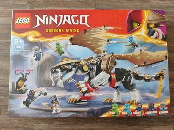 NEUF Lego Ninjago 71809 Egalt le maître dragon