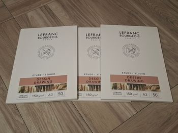 150 feuilles Papier à dessin polyvalent crayons craie charbon peinture autres techniques sèches surface à grain fin A3