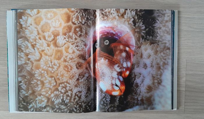 L'homme et la mer fondation goodplanet - photo numéro 8