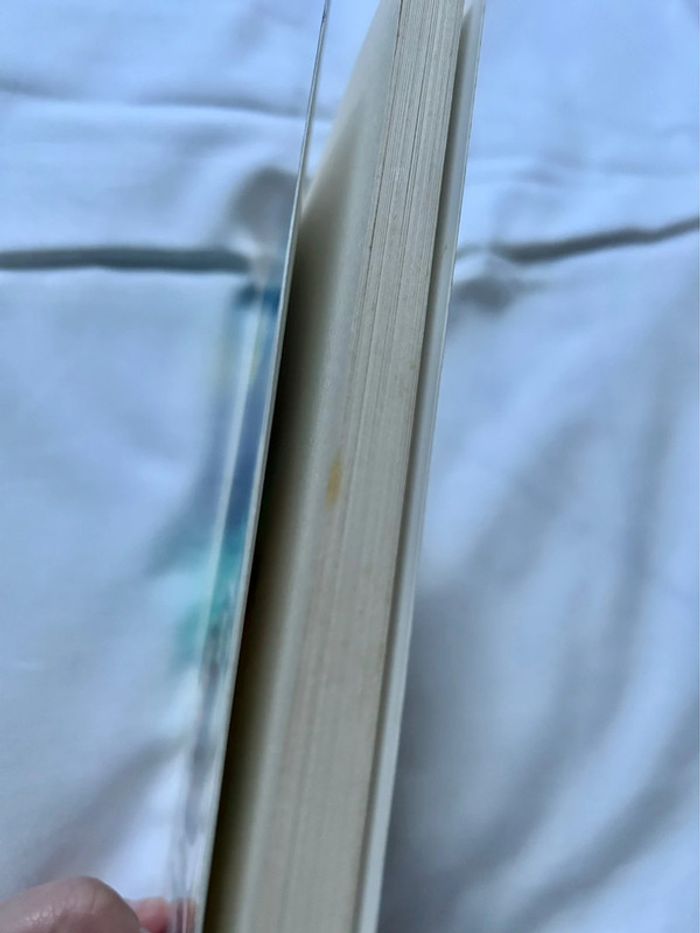 Livre Le mystère Vandam Pishar - photo numéro 5