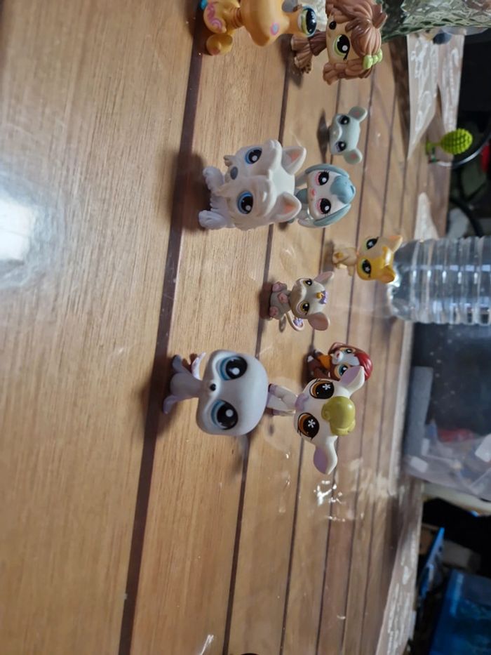 Lot petshop (8) - photo numéro 6