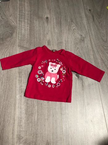 Tee shirt chien coeur