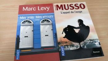 Mes amis, mes amours