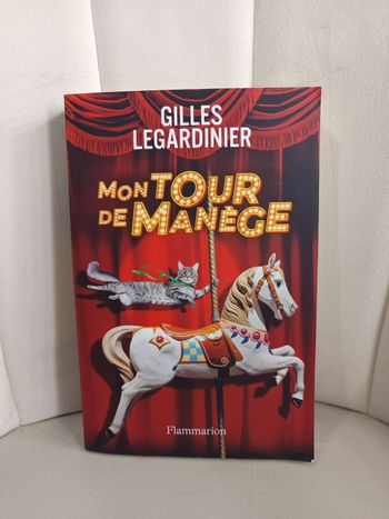 " Mon tour de manège " 