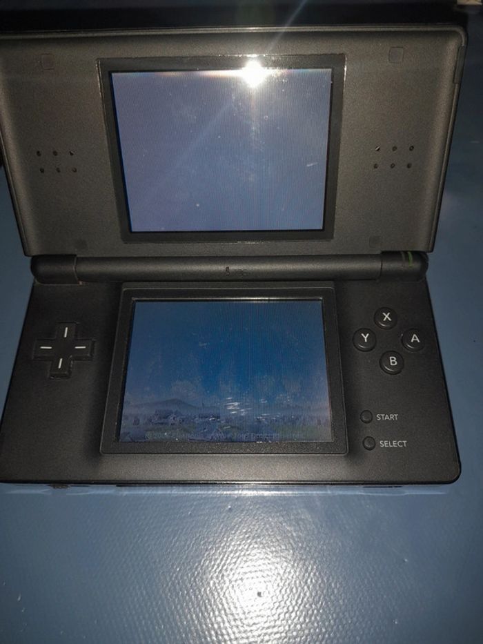 Les Sims 2 animaux &Cie Nintendo DS - photo numéro 11