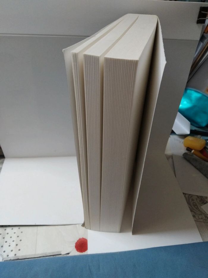 L'arche d'alliance - photo numéro 3