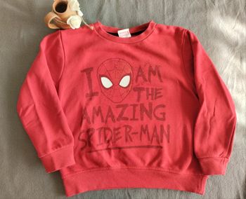 Sweat Spiderman