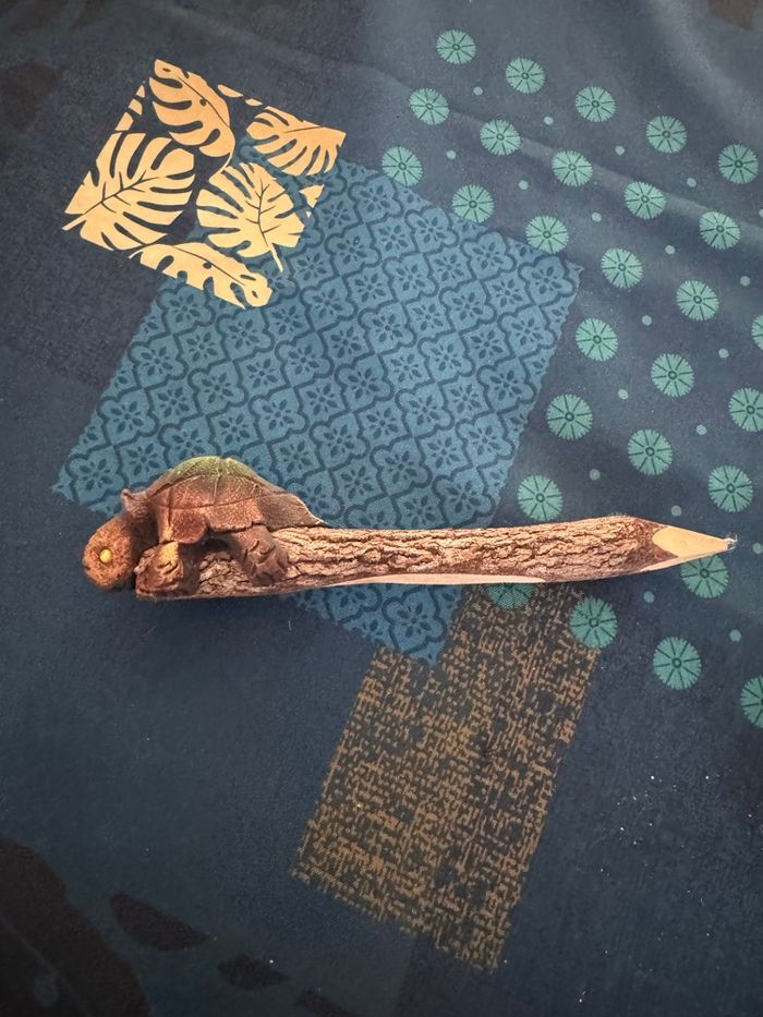 Crayon papier sculptétortue - photo numéro 5