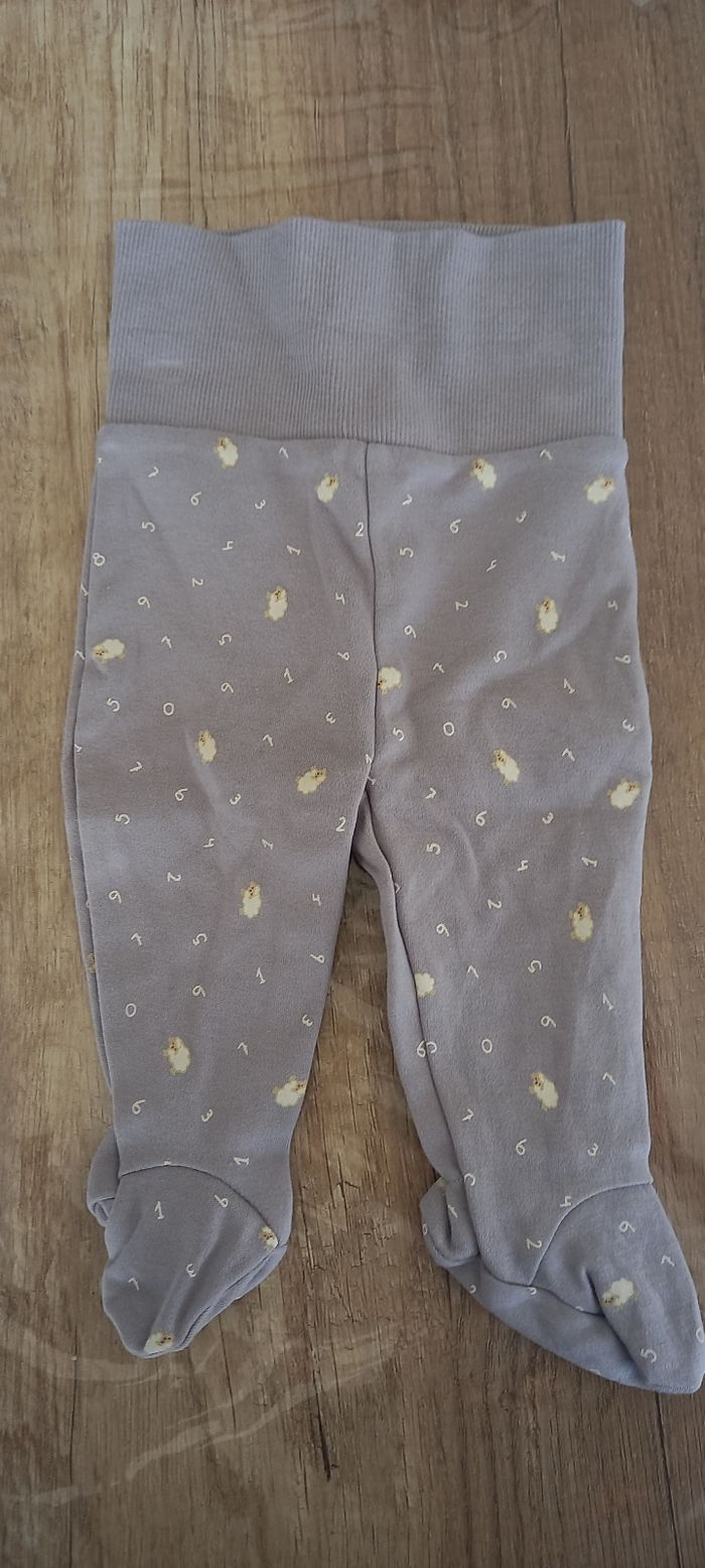 Ensemble - photo numéro 3